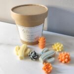 Wax Melts Aromáticos Ylan Ylan · Edición limitada Primavera